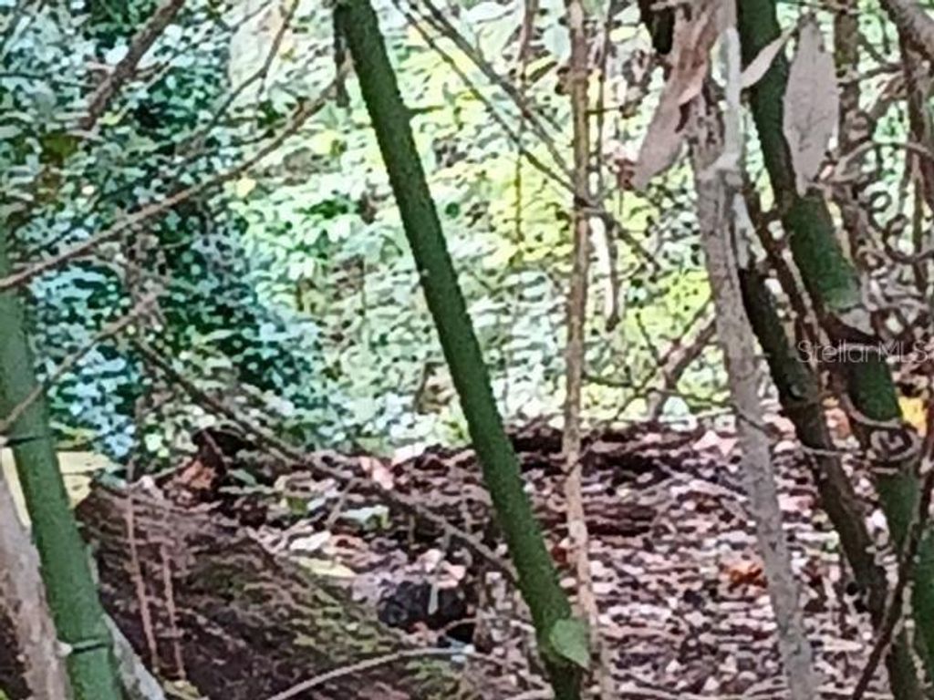 Photo of 6104 NW 268th Terrace, Newberry, FL 32669 (MLS # V4948319)