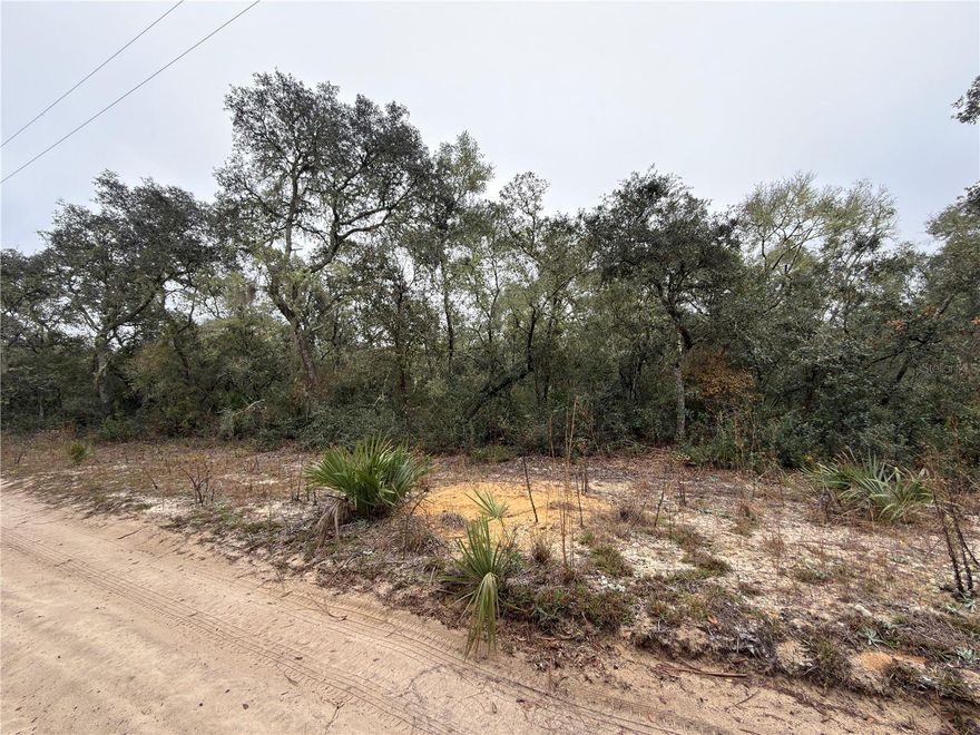 Considering all offers!!! One Parcel, 3 lots! Your peaceful oasis and blank canvas to retreat to. So much potential and close to unlimited recreational attractions: Lakes, rivers, springs, trails, hunting and more!