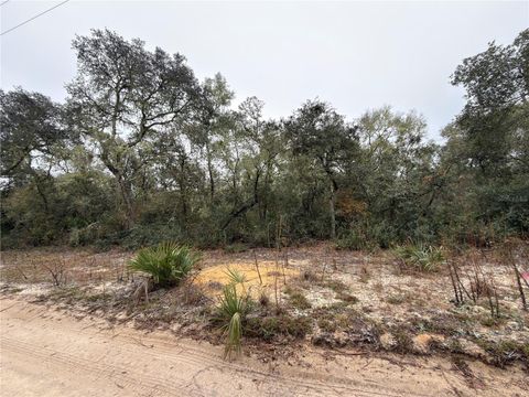 TBD NE 234TH PLACE FORT MC COY FL 32134