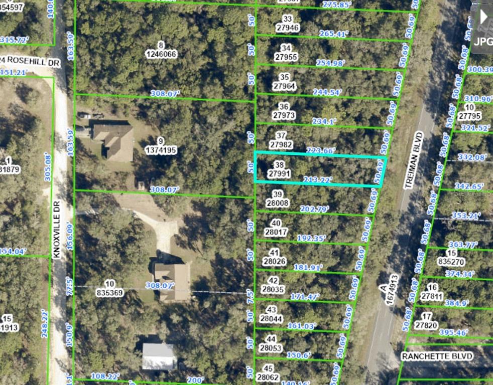 ONE OF THE MOST AFFORDABLE LOTS ON HWY 301/TREIMAN BLVD. BUY THIS ONE OR BUY MANY. THIS WILL BE BUILD OUT ONE DAY. WEBSTER IS GROWING, HERNANDO IS GROWING. GREAT COMMERCIAL INVESTMENT.