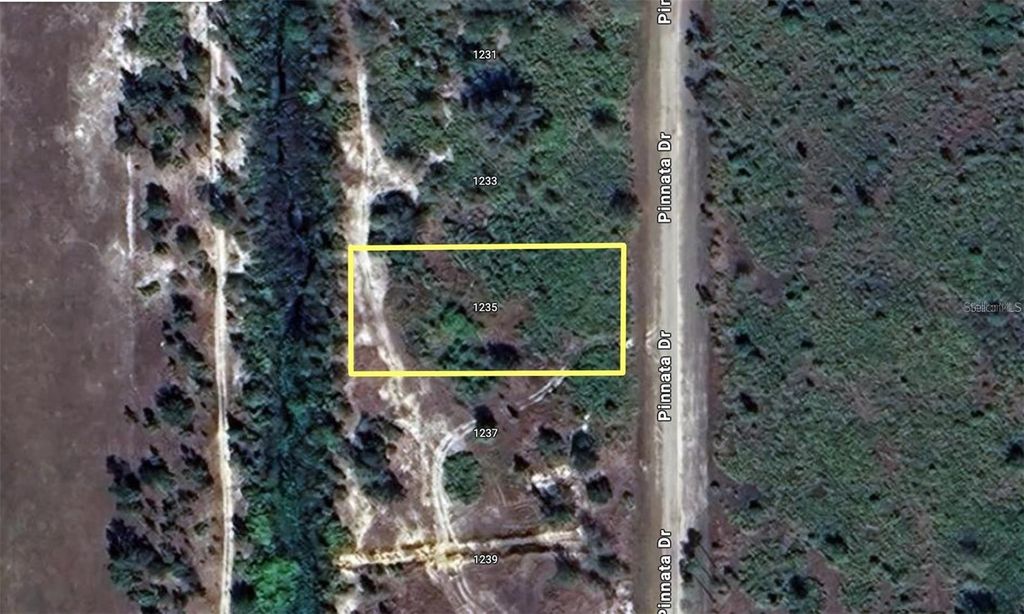 Photo of 1235 Pinnata Drive, Indian Lake Estates, FL 33855 (MLS # S5113664)