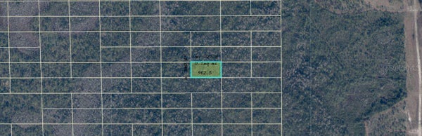 DILL RD, ORLANDO, FL 32820 - Image 2b05c48184c9e2467f2e2d30c19ca930/1934203663