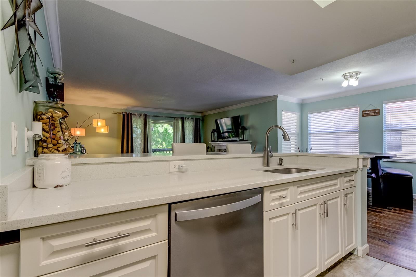 AUDUBON CONDO AT FEATHER SOUND - Residential