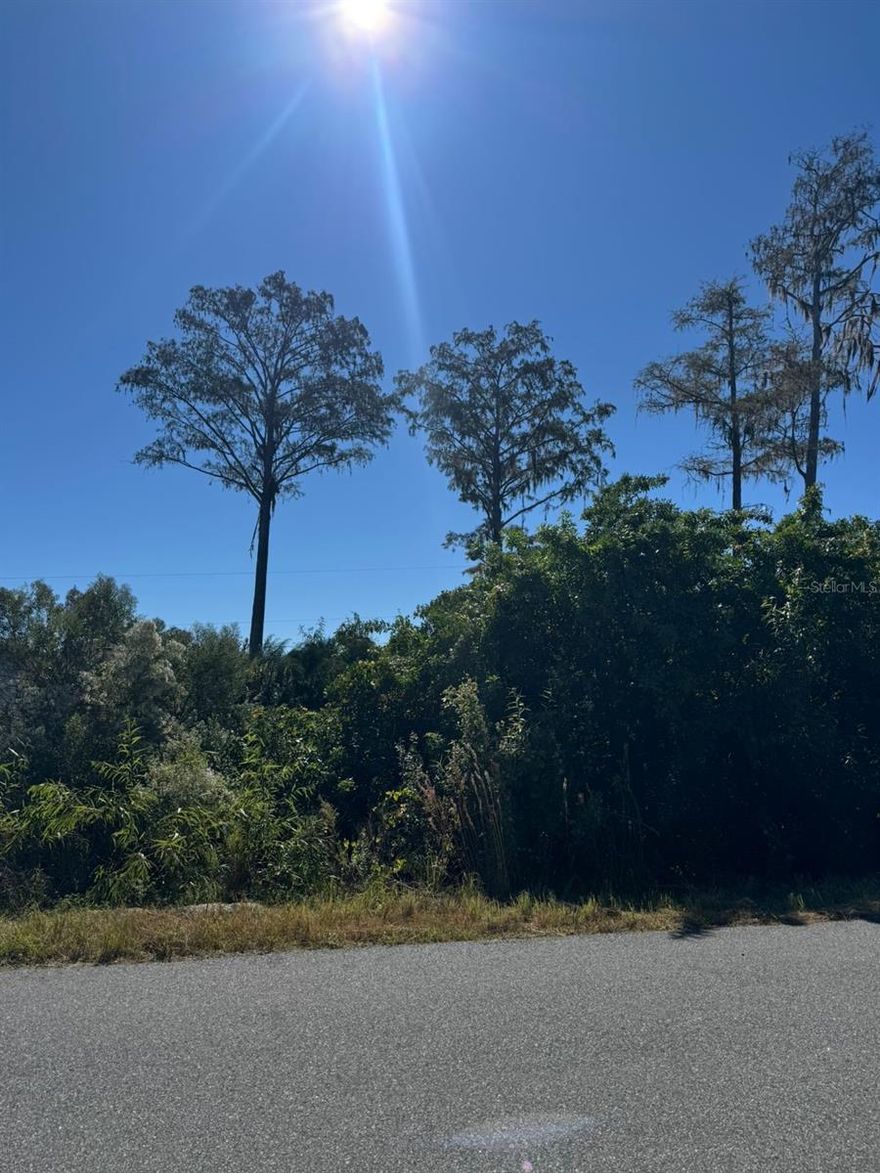 Great opportunity to build your dream home in the growing community of Palm Bay, Florida! This buildable residential lot offers no HOA, giving you the freedom to design your ideal property. Conveniently located close to schools, shopping, and  main roads, this lot is perfect for homeowners, investors, or builders looking to be part of a thriving area. Don't miss your chance to own a piece of Palm Bay's future growth!
