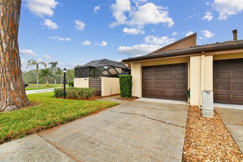 A home in TAMPA