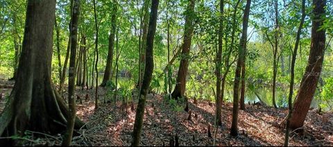 7909 S LESLIE POINT FLORAL CITY FL 34436