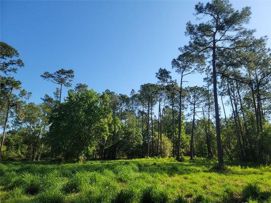 POLLARD ROAD, WINTER HAVEN, FL 33884 - Image 2b0c3c20e54dc2f9938d1a3f7d7943a0/3271593795