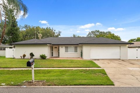 8607 SANDBERRY BOULEVARD ORLANDO FL 32819
