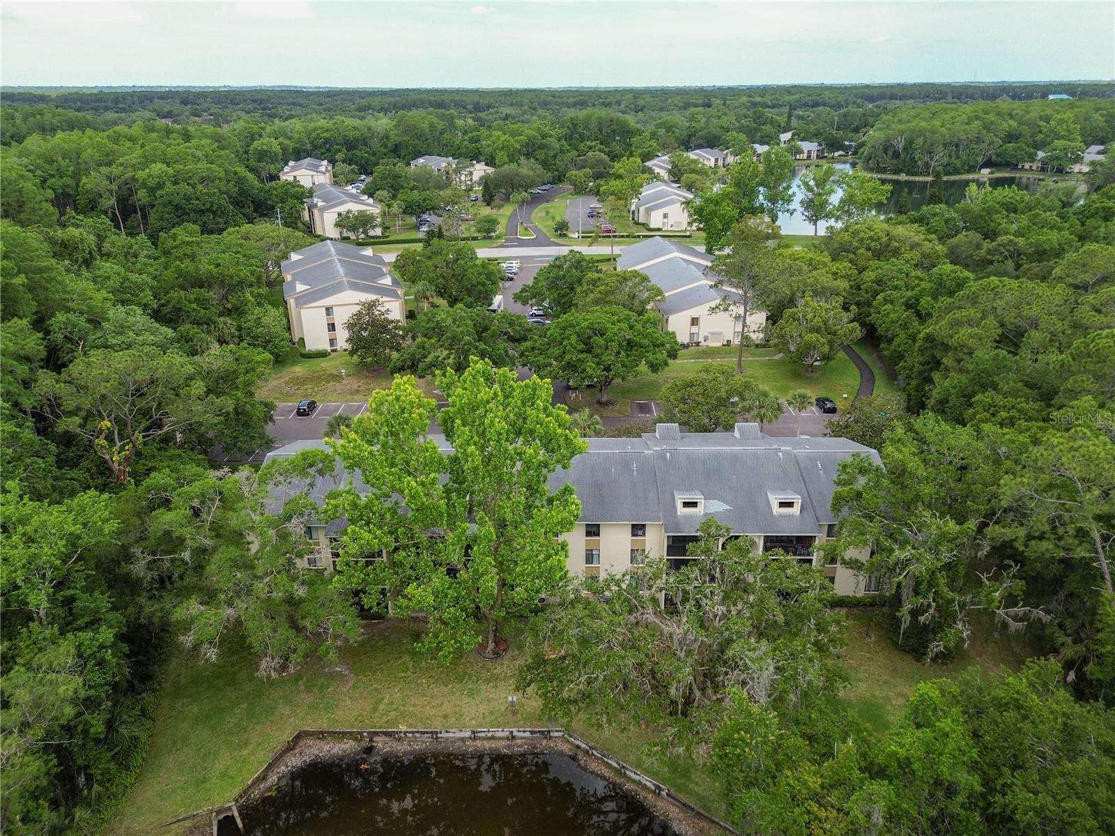 PINE RIDGE AT LAKE TARPON VILLAGE - Residential