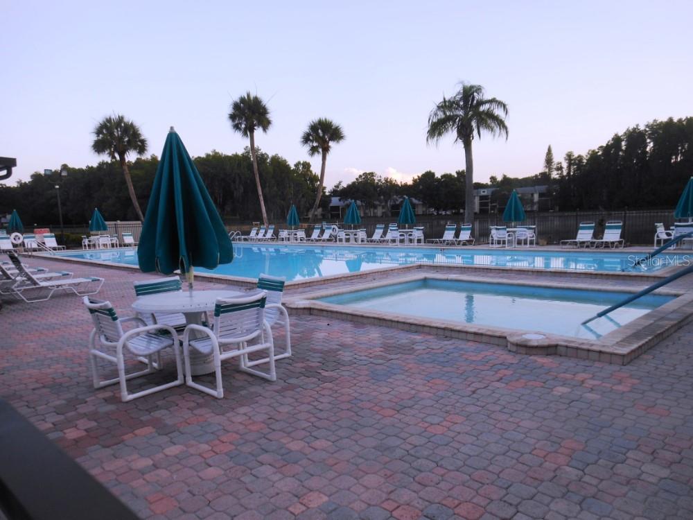 PINE RIDGE AT LAKE TARPON VILLAGE - Residential