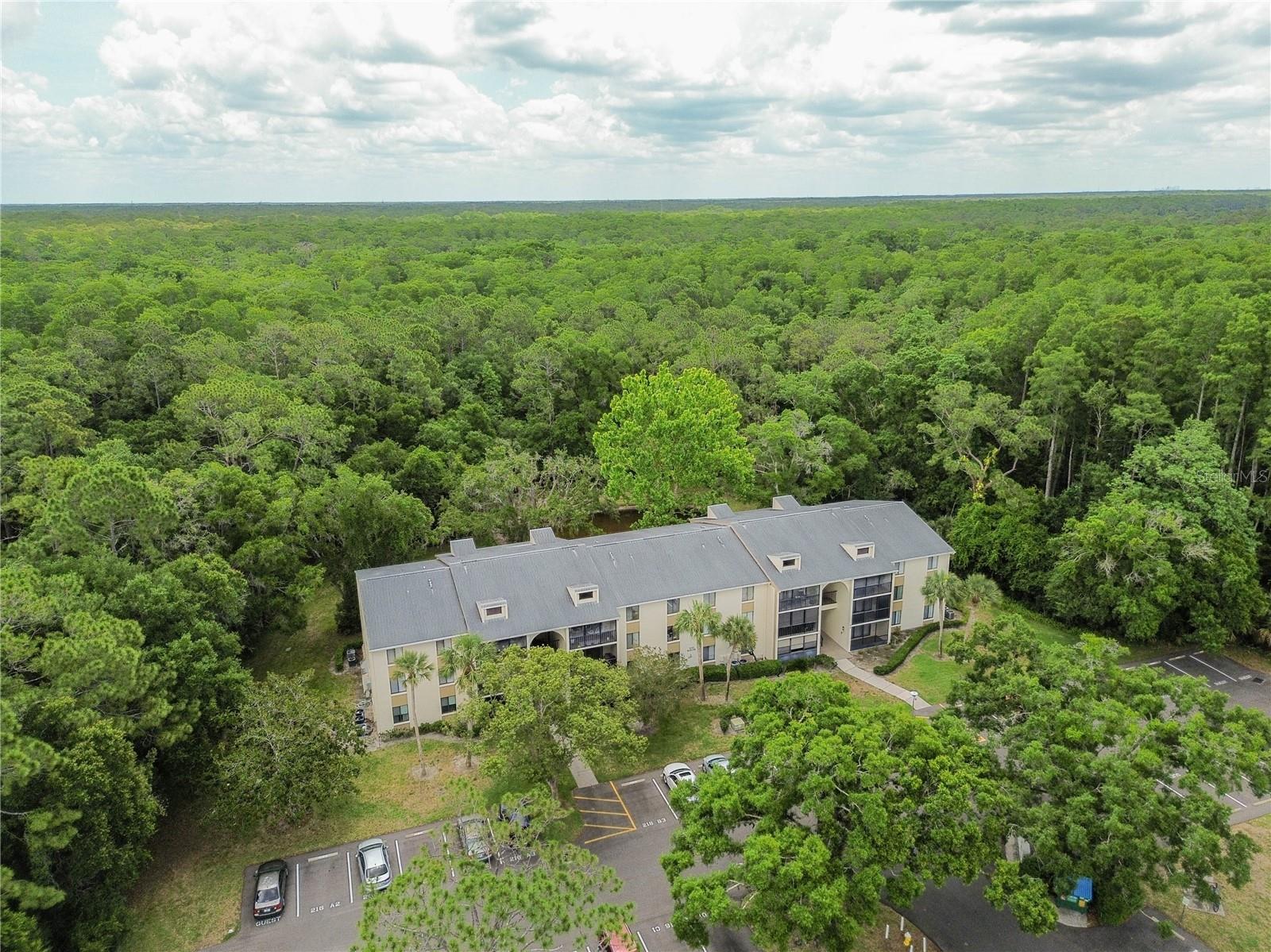 PINE RIDGE AT LAKE TARPON VILLAGE - Residential