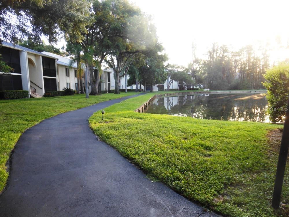 PINE RIDGE AT LAKE TARPON VILLAGE - Residential