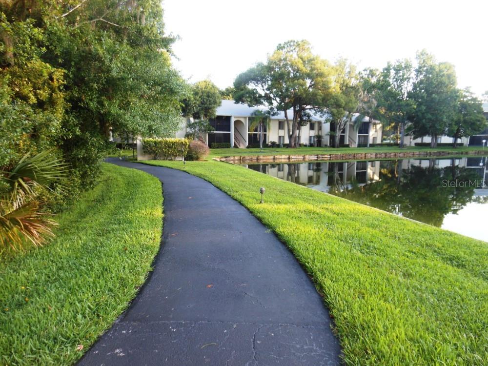 PINE RIDGE AT LAKE TARPON VILLAGE - Residential