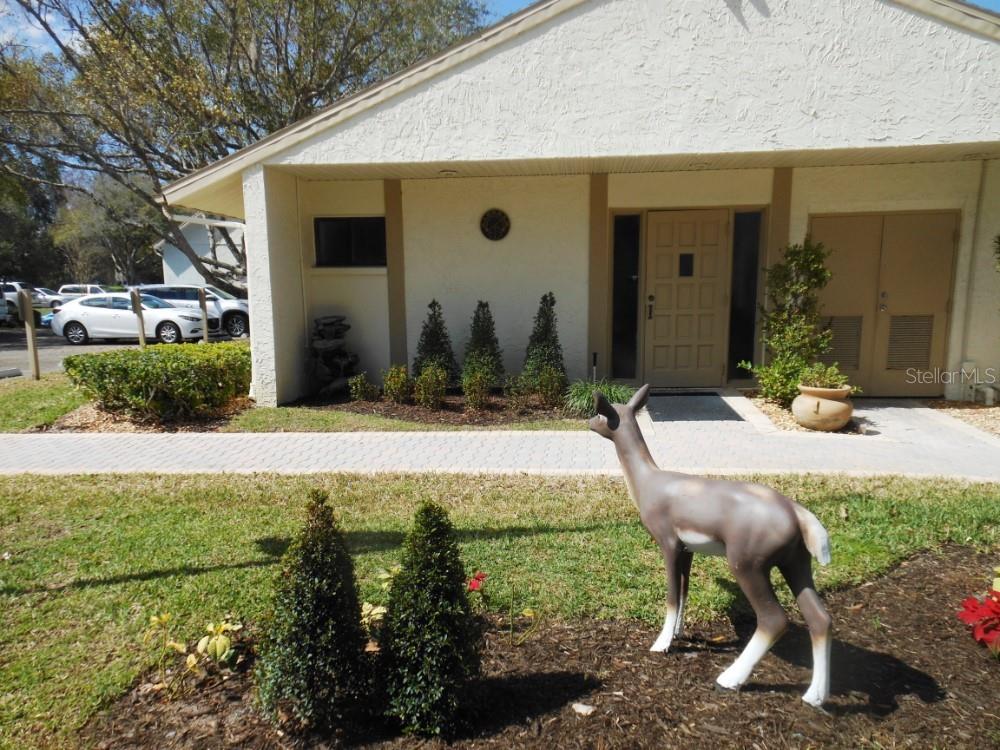 PINE RIDGE AT LAKE TARPON VILLAGE - Residential
