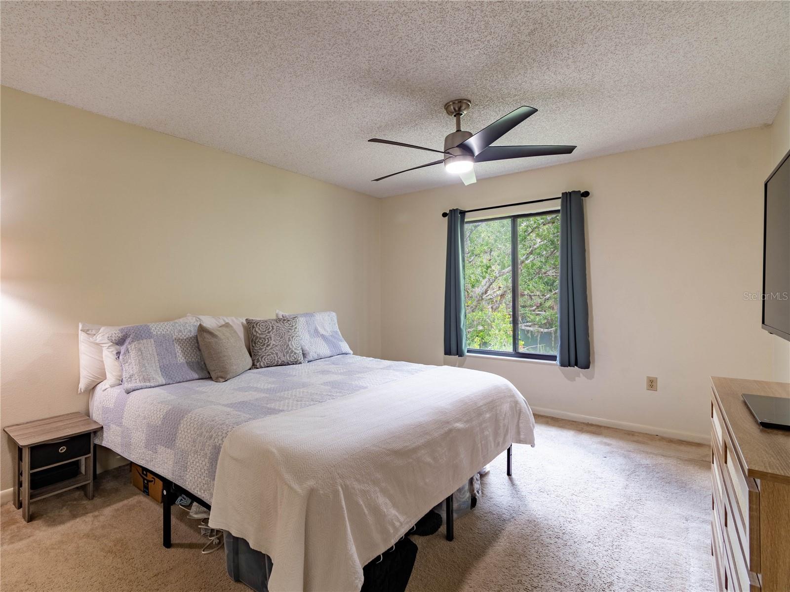 PINE RIDGE AT LAKE TARPON VILLAGE - Residential