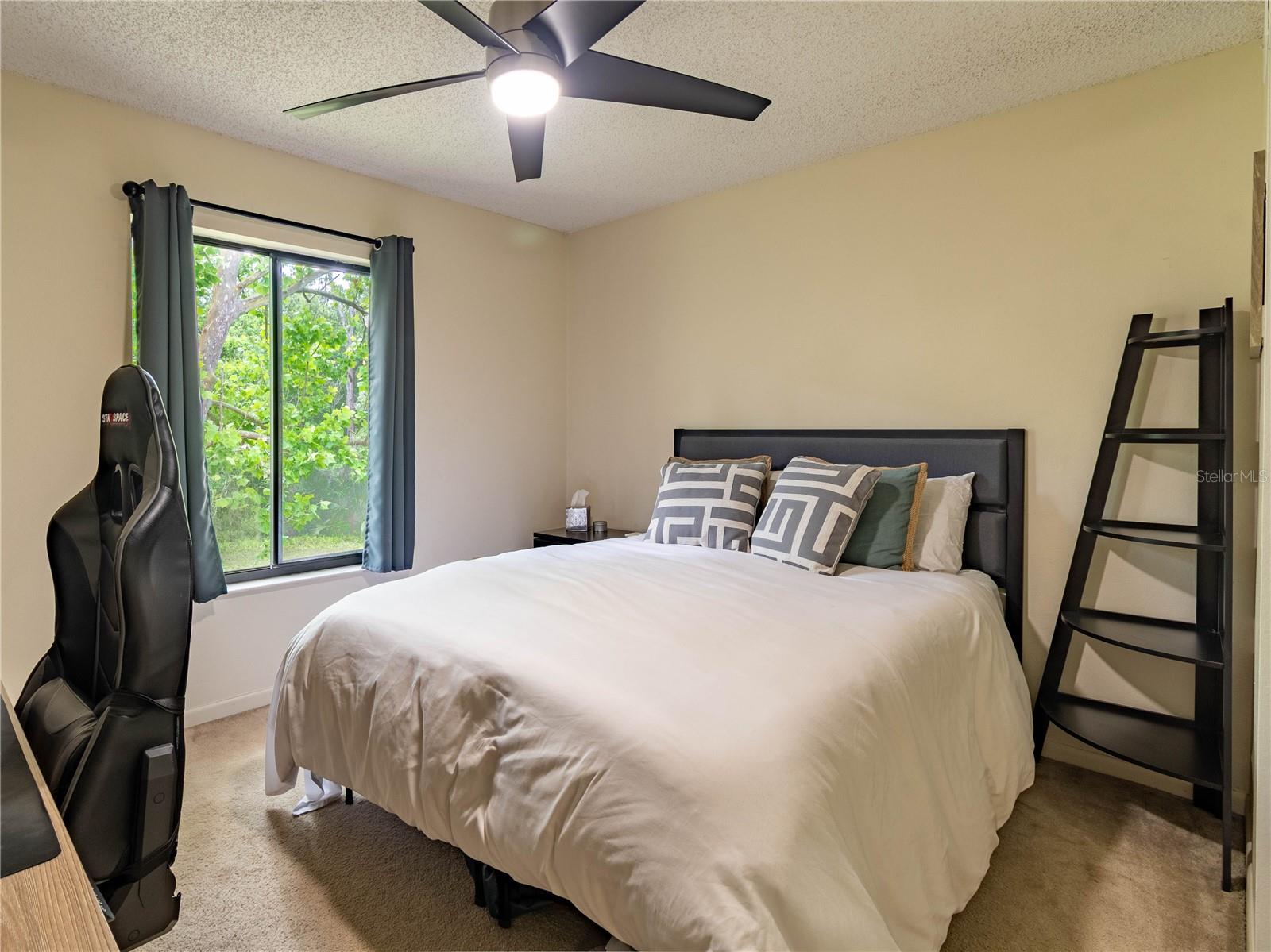 PINE RIDGE AT LAKE TARPON VILLAGE - Residential