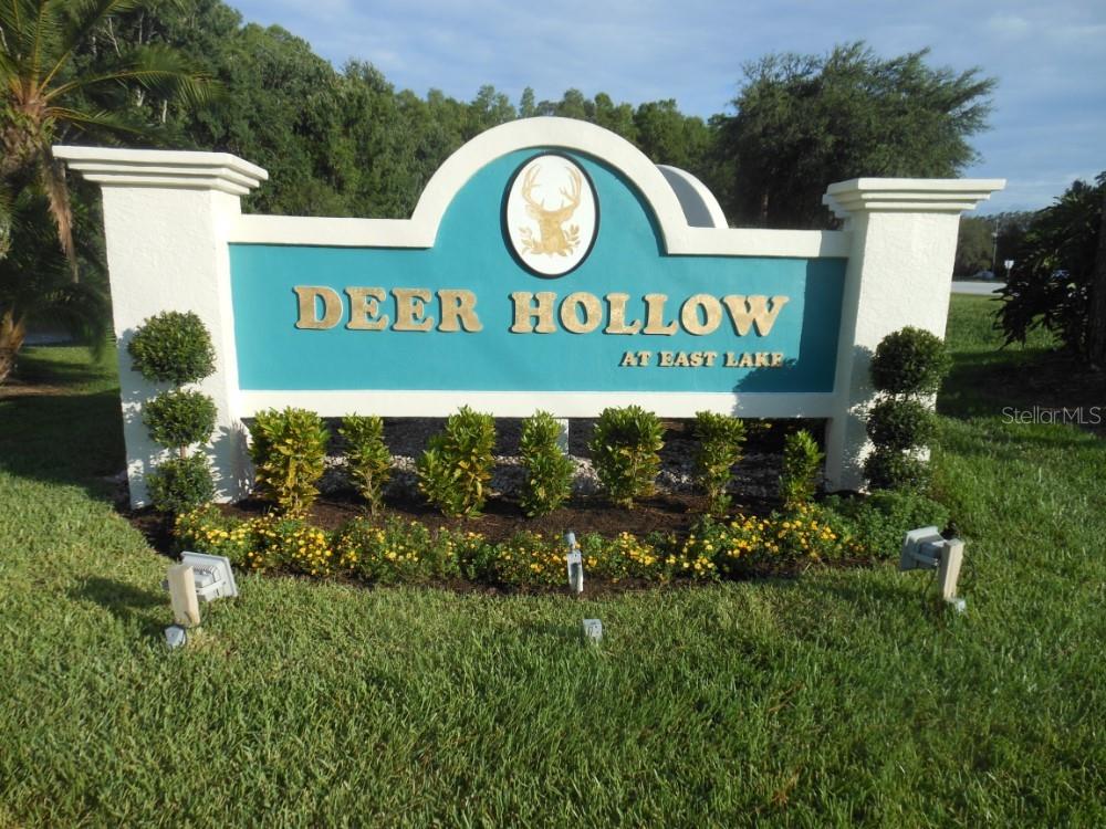 PINE RIDGE AT LAKE TARPON VILLAGE - Residential