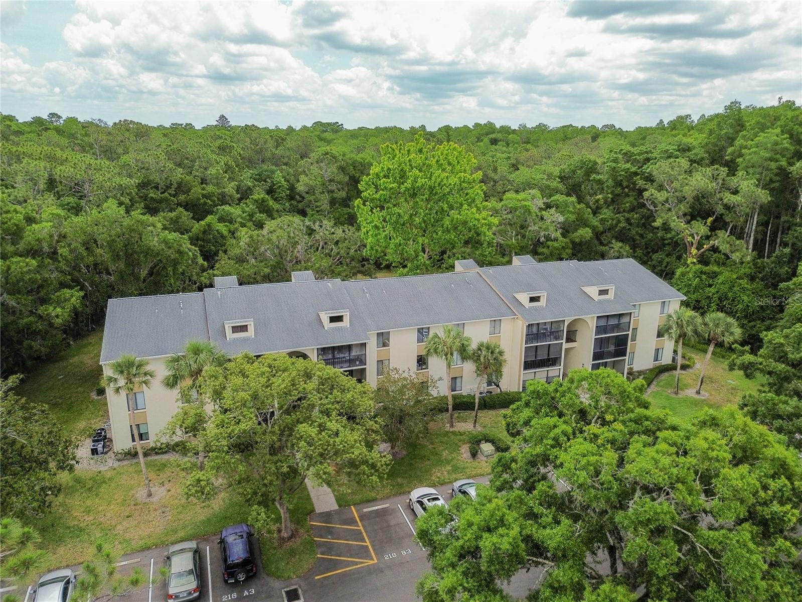 PINE RIDGE AT LAKE TARPON VILLAGE - Residential