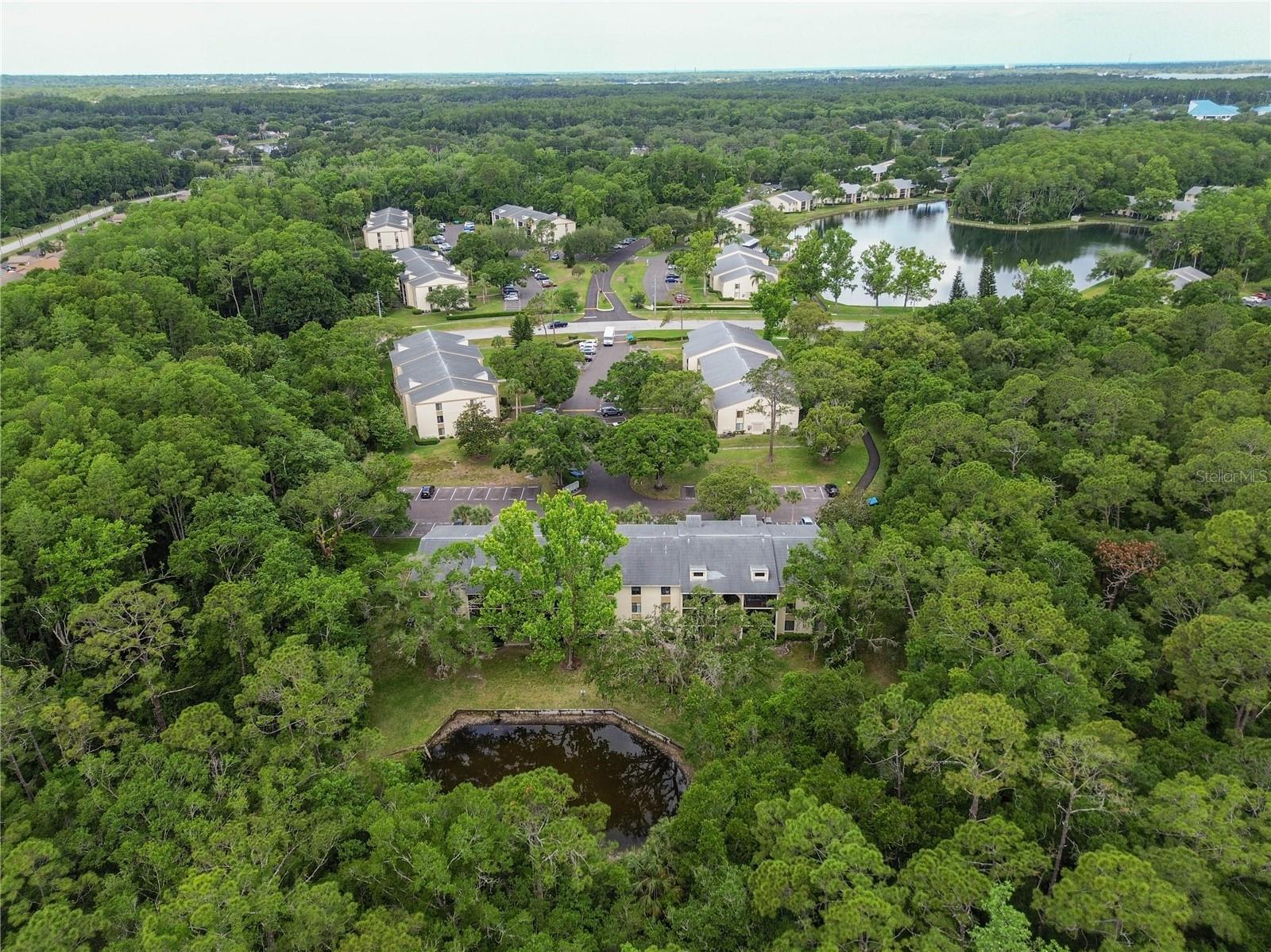 PINE RIDGE AT LAKE TARPON VILLAGE - Residential