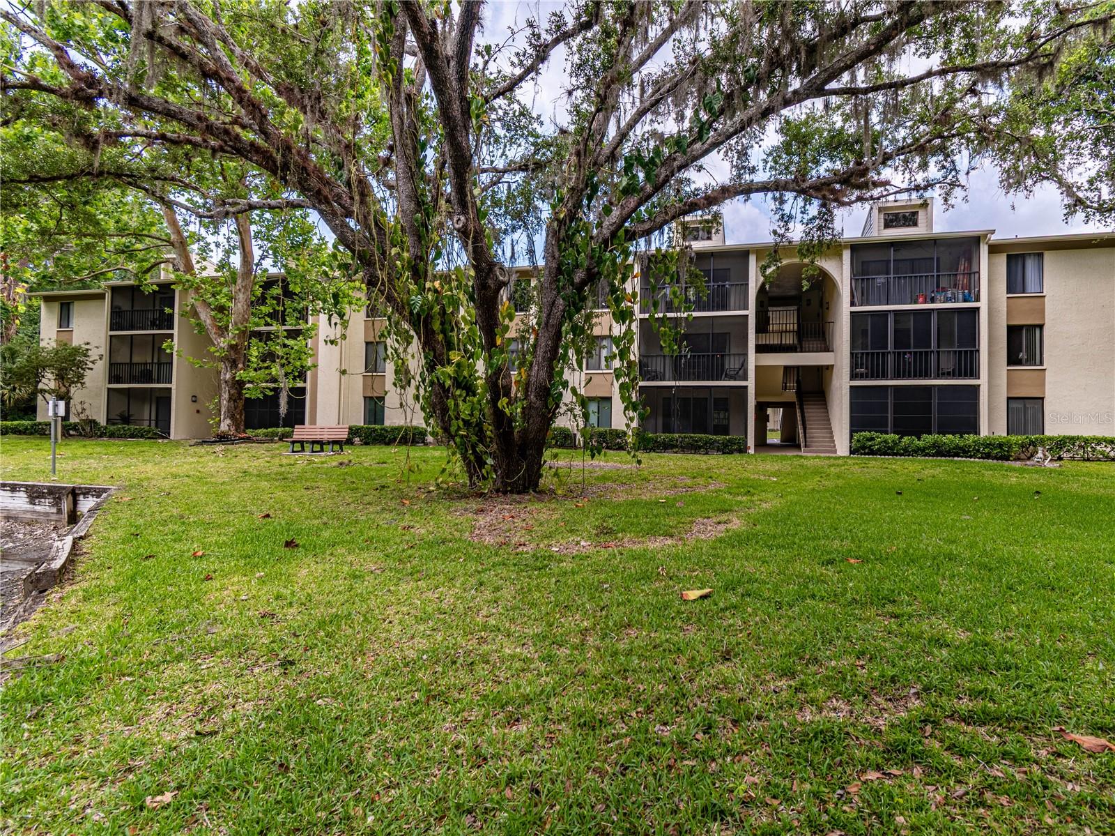 PINE RIDGE AT LAKE TARPON VILLAGE - Residential