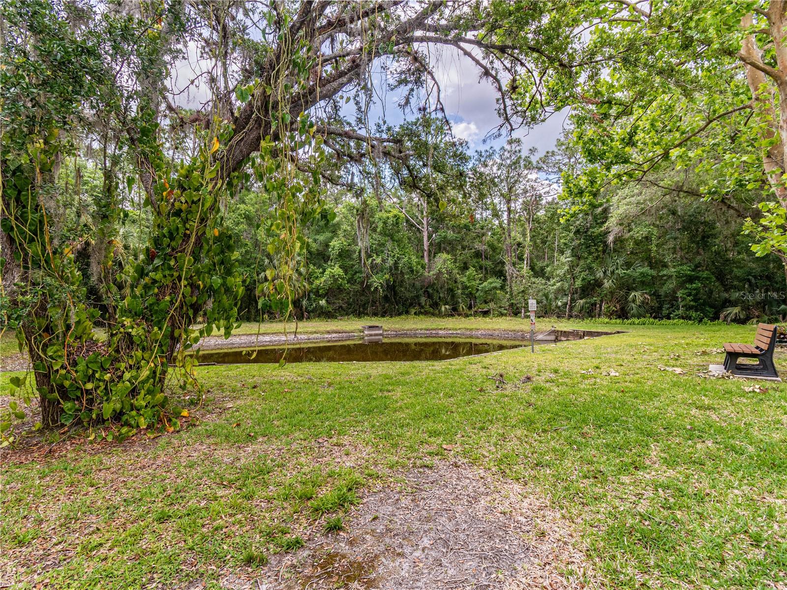 PINE RIDGE AT LAKE TARPON VILLAGE - Residential
