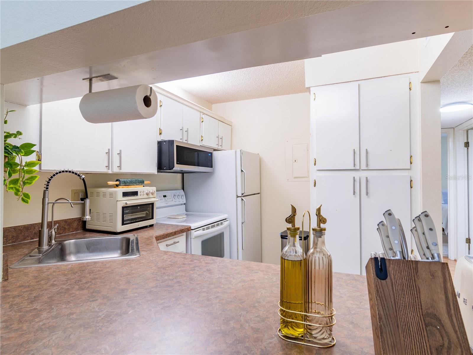 PINE RIDGE AT LAKE TARPON VILLAGE - Residential