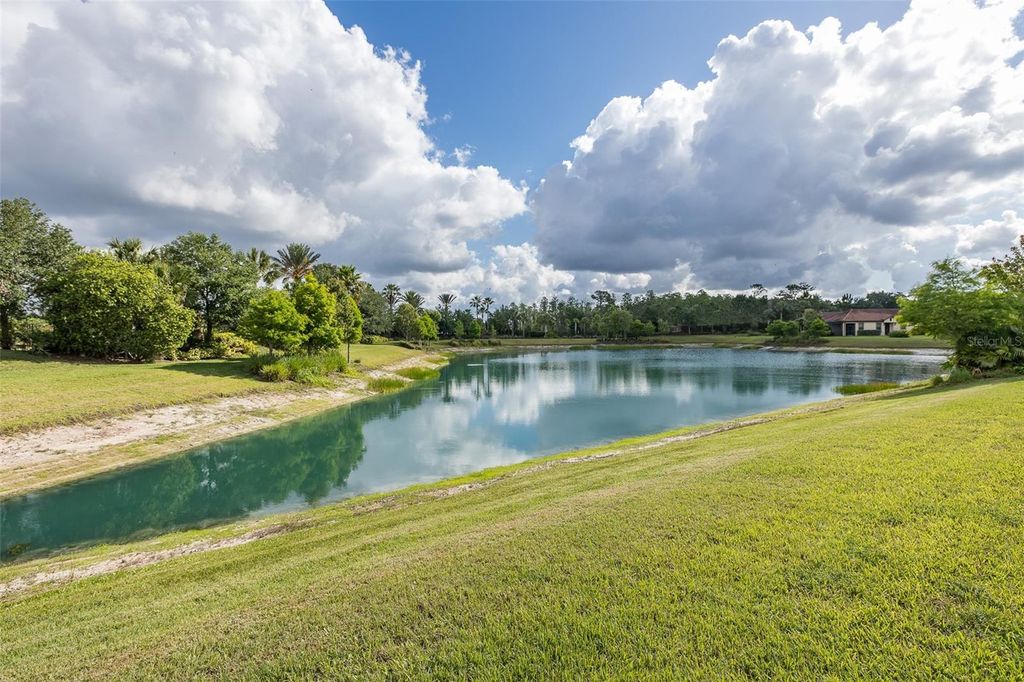 Photo of 11611 Callisia Drive, Odessa, FL 33556 (MLS # W7875574)