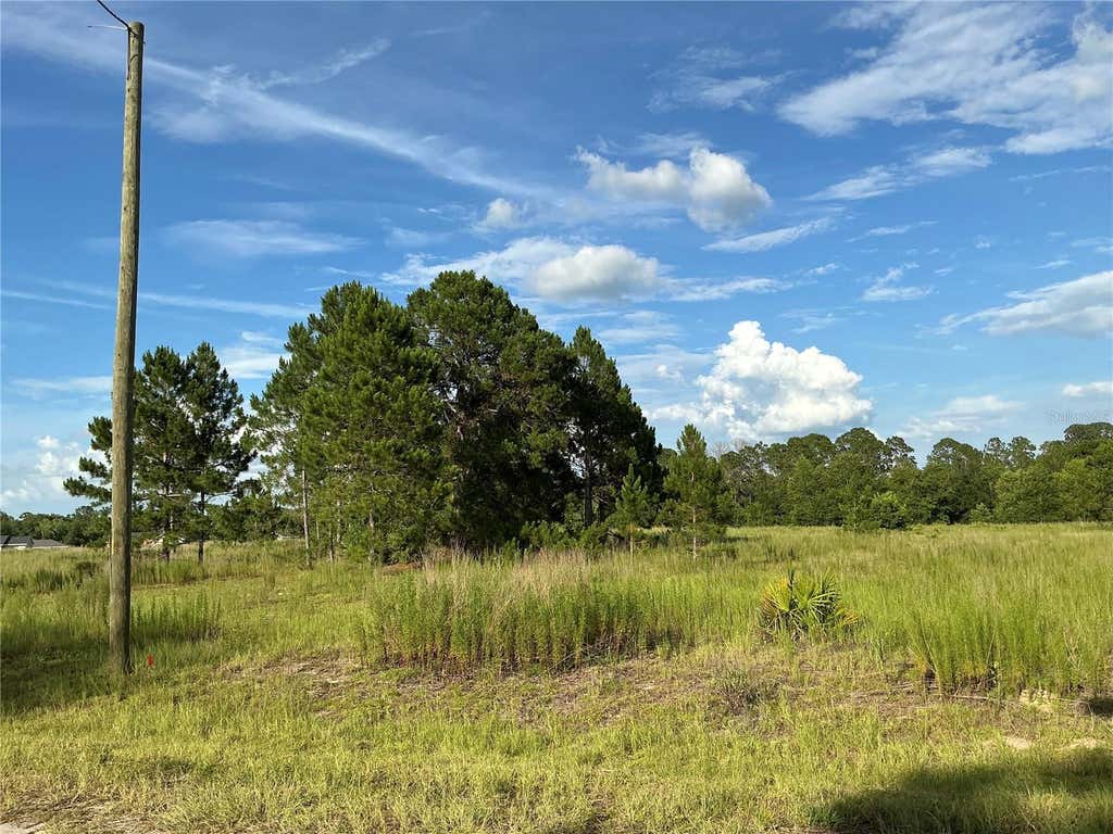 Photo of Maple Ln Way, Ocklawaha, FL 32179 (MLS # OM728160)