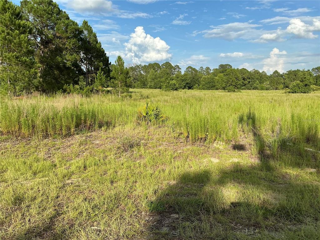 Photo of Maple Ln Way, Ocklawaha, FL 32179 (MLS # OM728160)