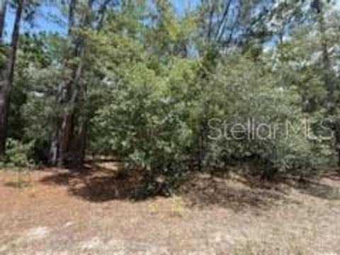 109 PINELLAS STREET FLORAHOME FL 32140