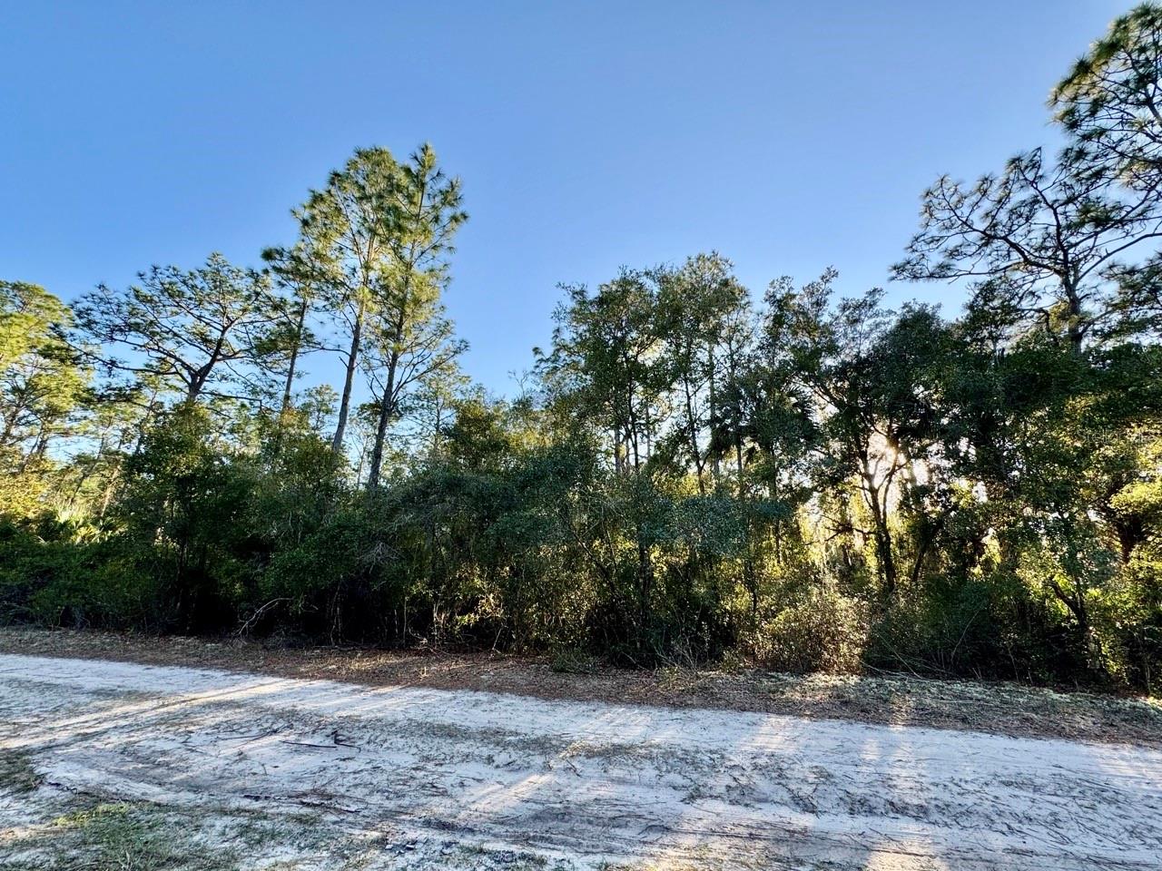 LAKE GEORGE MANOR - Land