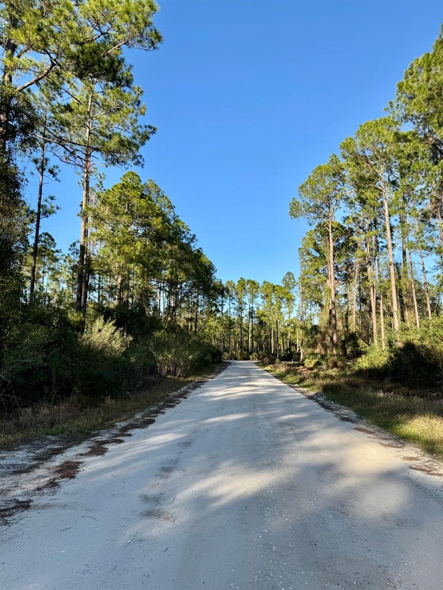 LAKE GEORGE MANOR - Land