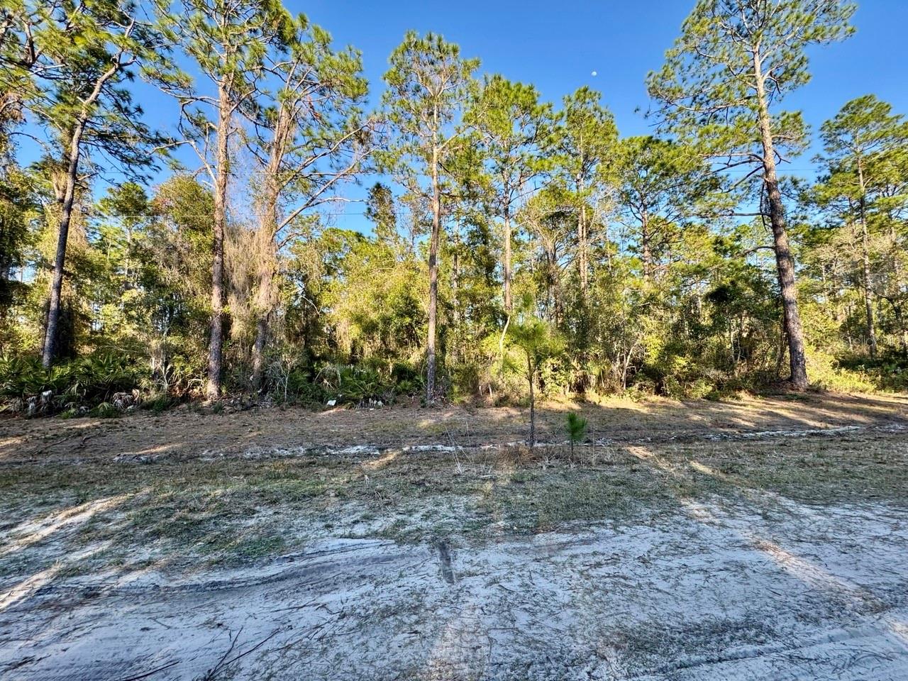 LAKE GEORGE MANOR - Land