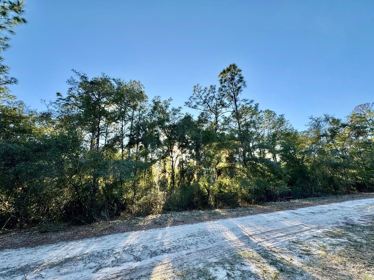 LAKE GEORGE MANOR - Land