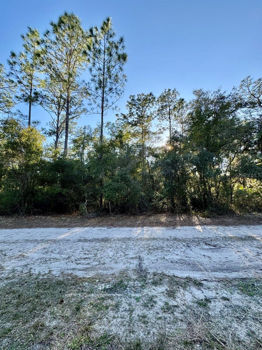 LAKE GEORGE MANOR - Land