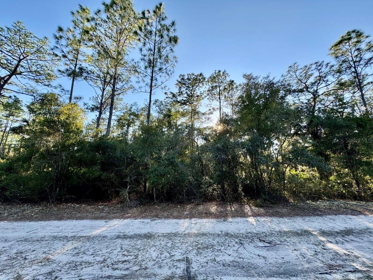 LAKE GEORGE MANOR - Land