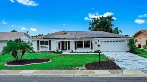663 ALLEGHENY DRIVE SUN CITY CENTER FL 33573