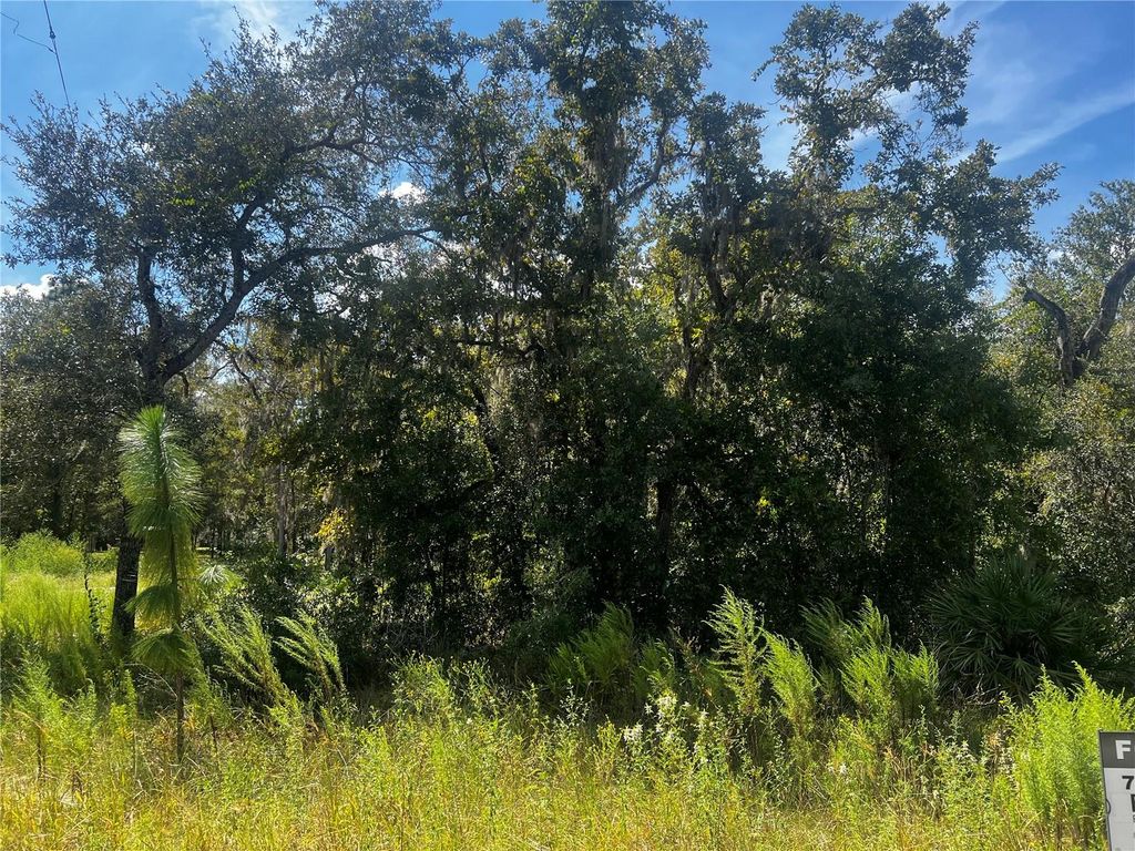Photo of 0 Crider Road, Weeki Wachee, FL 34614 (MLS # TB8429974)
