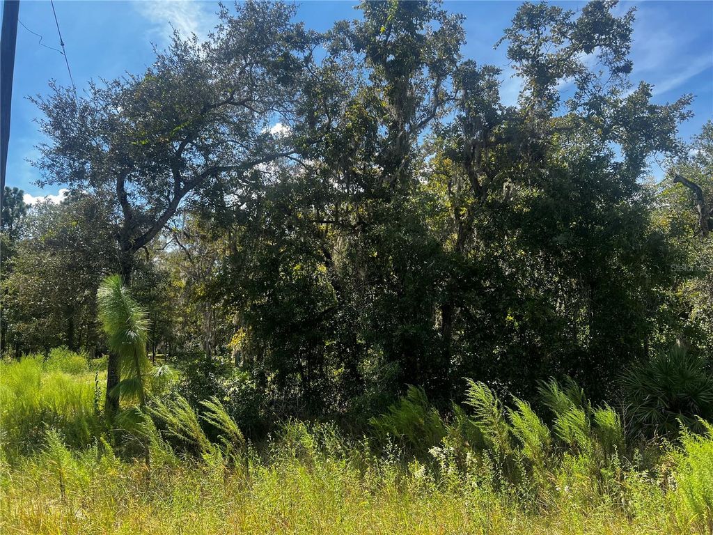 Photo of 0 Crider Road, Weeki Wachee, FL 34614 (MLS # TB8429974)
