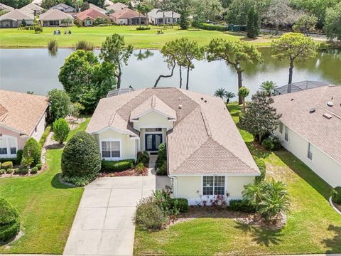 8043 PINE HOLLOW DRIVE MOUNT DORA FL 32757