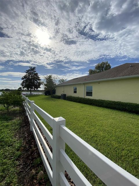 A home in MOUNT DORA