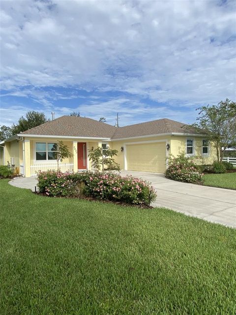 A home in MOUNT DORA