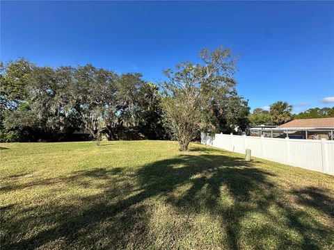 A home in PORT RICHEY