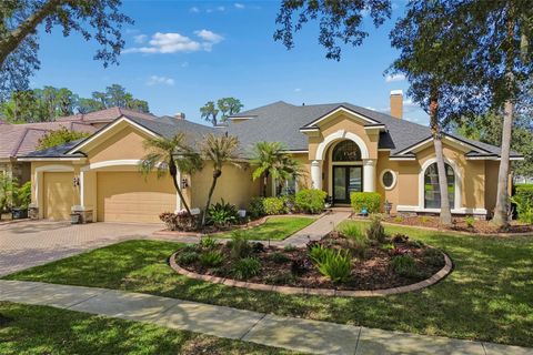 Photo of 21227 Sky Vista Drive, Land O Lakes, FL 34637 (MLS # TB8497984)