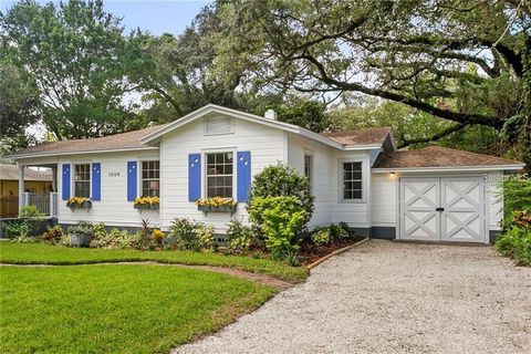 1004 E JEAN STREET TAMPA FL 33604