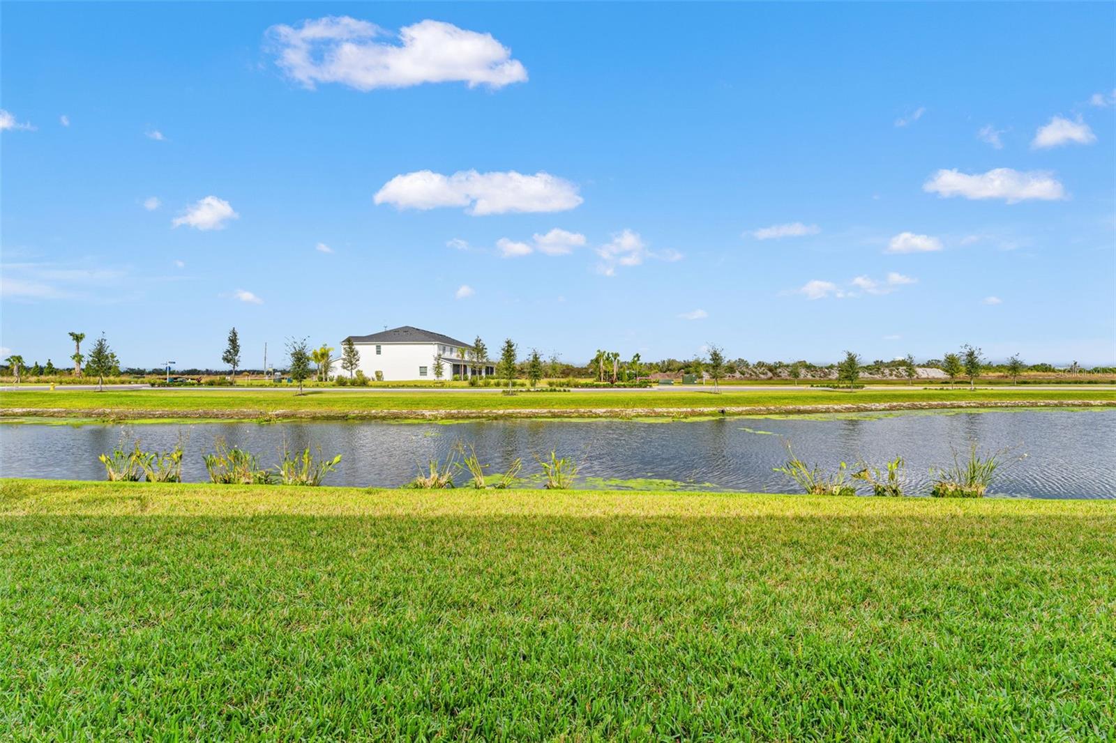 PALM GROVE AT LAKEWOOD RANCH - Residential