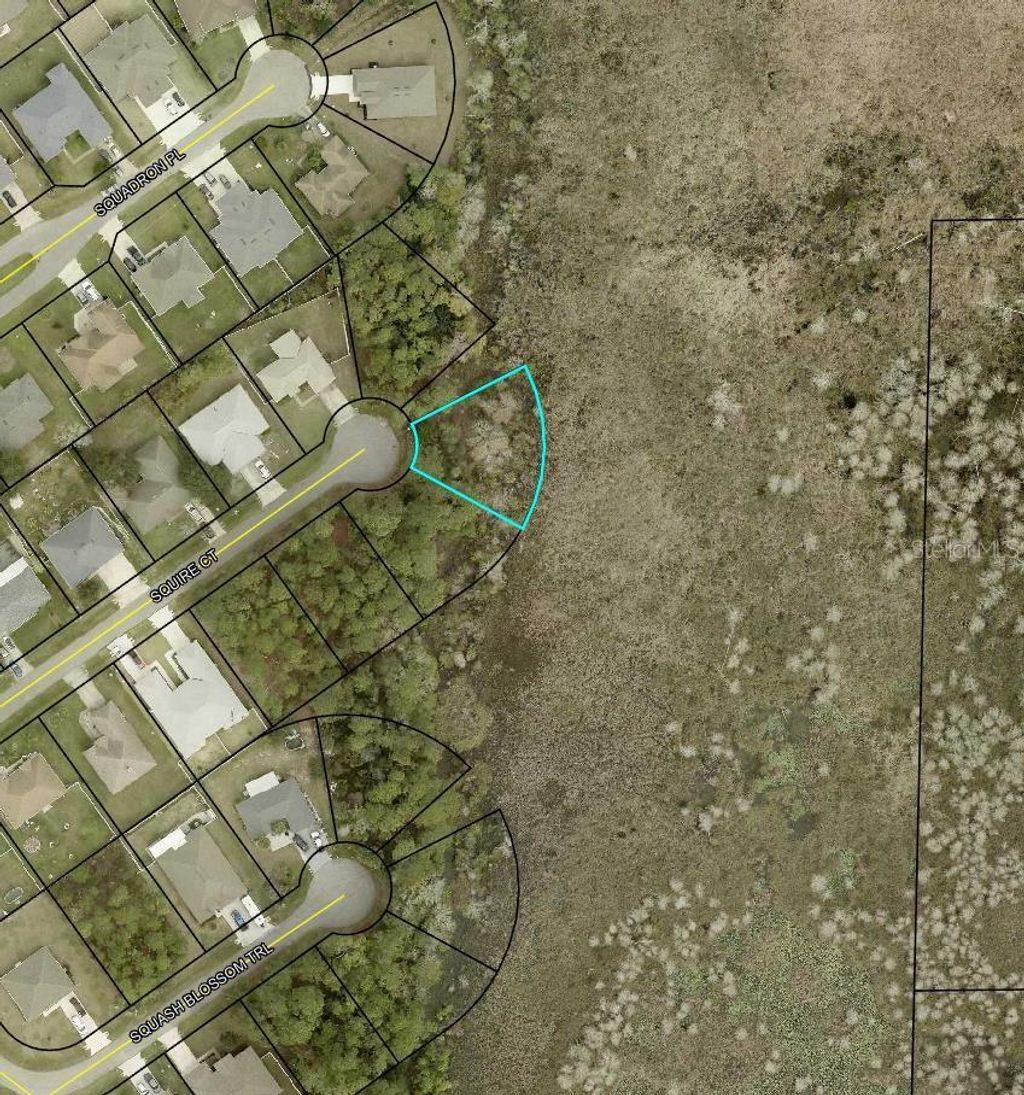 Photo of 16 Squire Court, Palm Coast, FL 32164 (MLS # TB8490932)