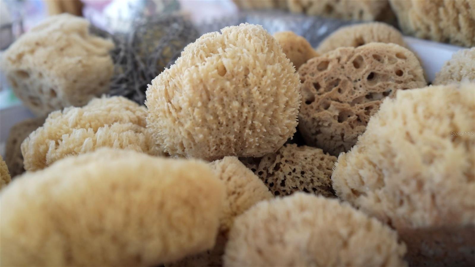 FAIRMOUNT PARK - Residential