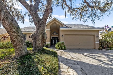 4791 KLOSTERMAN OAKS BOULEVARD PALM HARBOR FL 34683