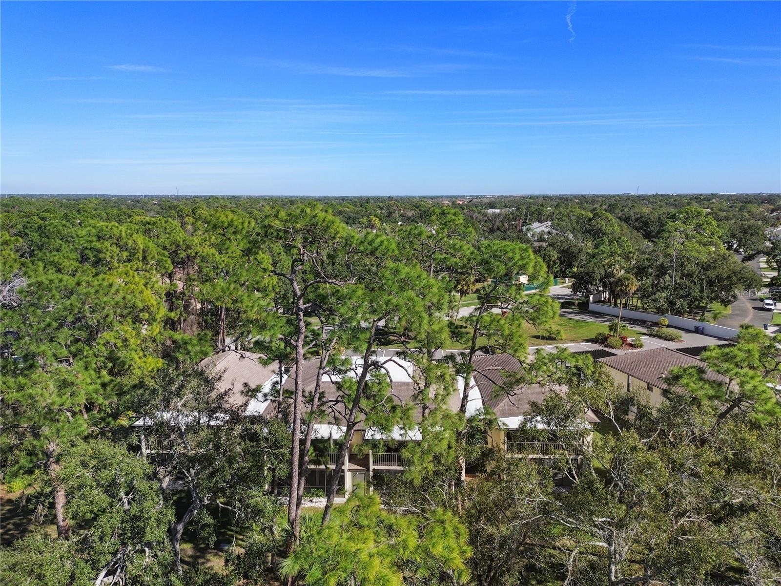 THE HOLLOWS PH I - Residential